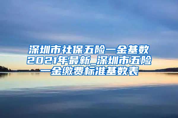 深圳市社保五险一金基数2021年最新_深圳市五险一金缴费标准基数表