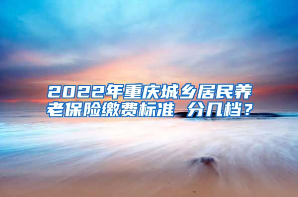 2022年重庆城乡居民养老保险缴费标准 分几档？