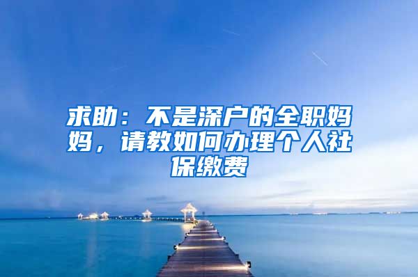 求助：不是深户的全职妈妈，请教如何办理个人社保缴费