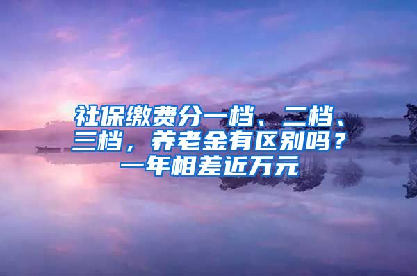 社保缴费分一档、二档、三档，养老金有区别吗？一年相差近万元