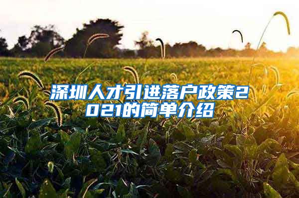 深圳人才引进落户政策2021的简单介绍