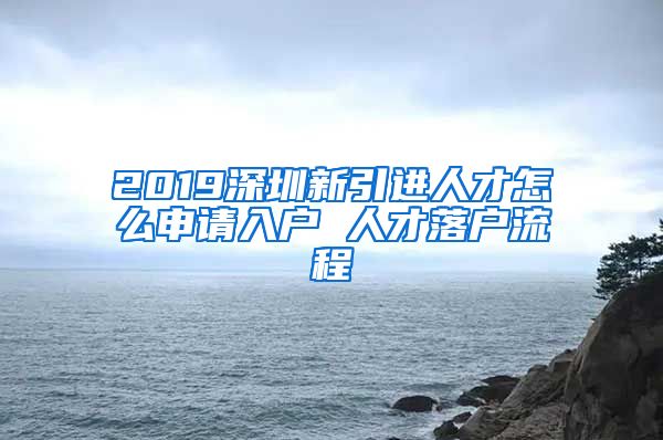 2019深圳新引进人才怎么申请入户 人才落户流程