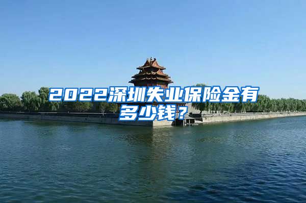 2022深圳失业保险金有多少钱？