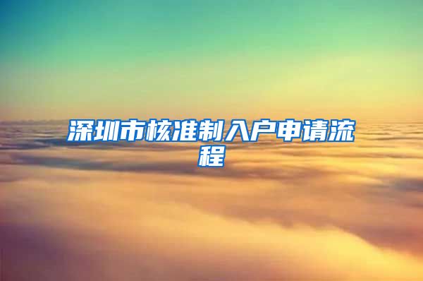 深圳市核准制入户申请流程