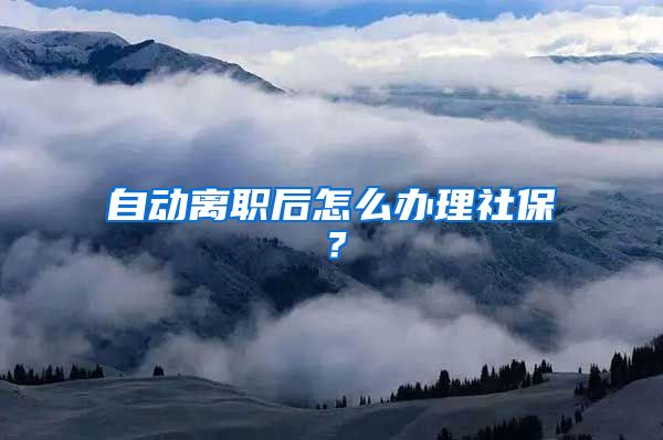 自动离职后怎么办理社保？