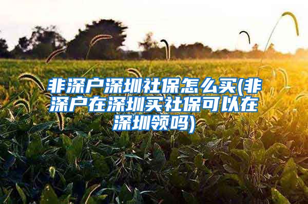 非深户深圳社保怎么买(非深户在深圳买社保可以在深圳领吗)