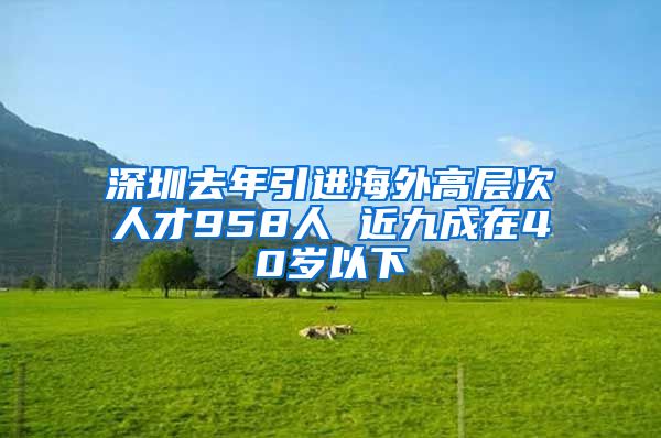 深圳去年引进海外高层次人才958人 近九成在40岁以下