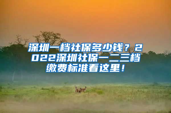 深圳一档社保多少钱？2022深圳社保一二三档缴费标准看这里！