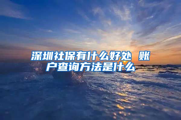 深圳社保有什么好处 账户查询方法是什么