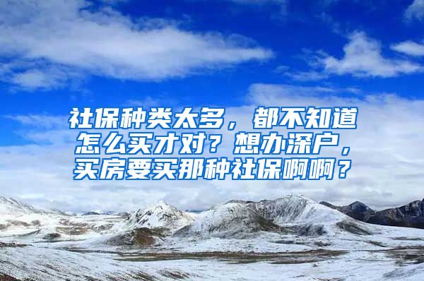 社保种类太多，都不知道怎么买才对？想办深户，买房要买那种社保啊啊？