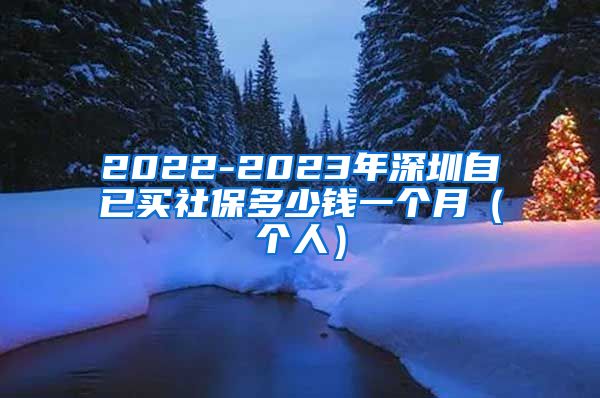 2022-2023年深圳自已买社保多少钱一个月（个人）