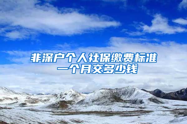 非深户个人社保缴费标准 一个月交多少钱