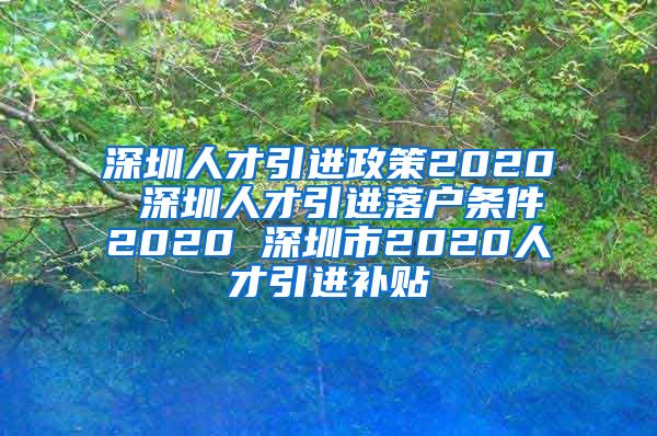 深圳人才引进政策2020 深圳人才引进落户条件2020 深圳市2020人才引进补贴