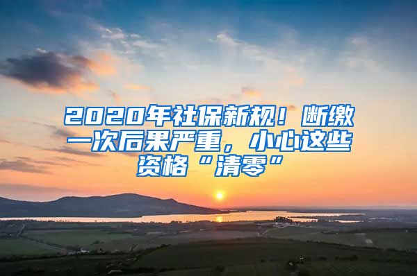 2020年社保新规！断缴一次后果严重，小心这些资格“清零”