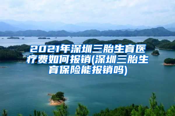 2021年深圳三胎生育医疗费如何报销(深圳三胎生育保险能报销吗)