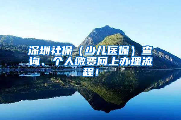 深圳社保（少儿医保）查询、个人缴费网上办理流程！