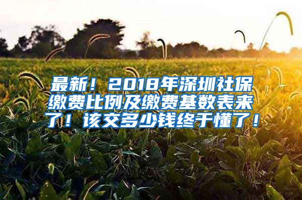 最新！2018年深圳社保缴费比例及缴费基数表来了！该交多少钱终于懂了！