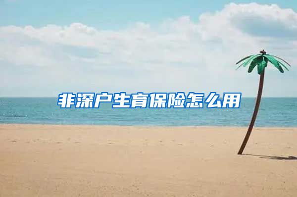 非深户生育保险怎么用