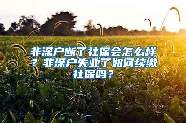 非深户断了社保会怎么样？非深户失业了如何续缴社保吗？