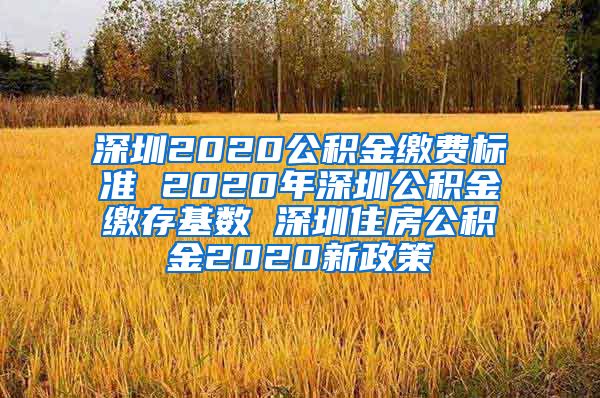 深圳2020公积金缴费标准 2020年深圳公积金缴存基数 深圳住房公积金2020新政策