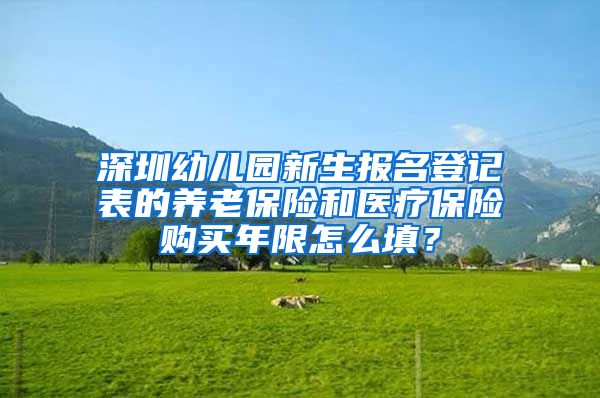 深圳幼儿园新生报名登记表的养老保险和医疗保险购买年限怎么填？