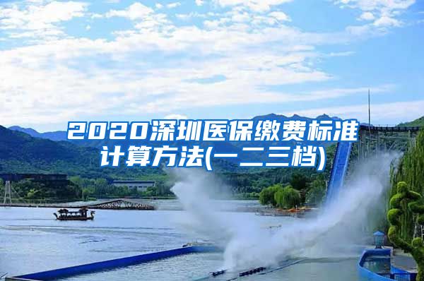 2020深圳医保缴费标准计算方法(一二三档)