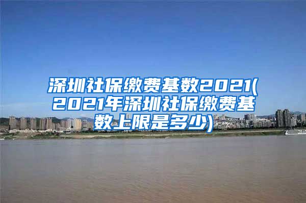 深圳社保缴费基数2021(2021年深圳社保缴费基数上限是多少)