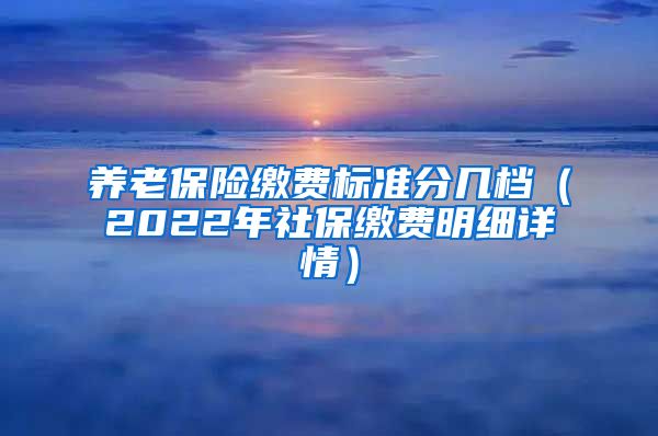 养老保险缴费标准分几档（2022年社保缴费明细详情）