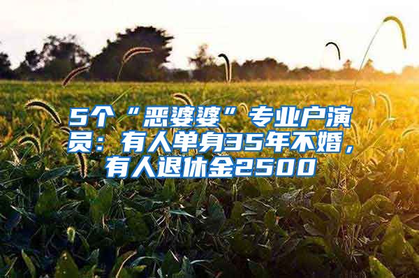 5个“恶婆婆”专业户演员：有人单身35年不婚，有人退休金2500