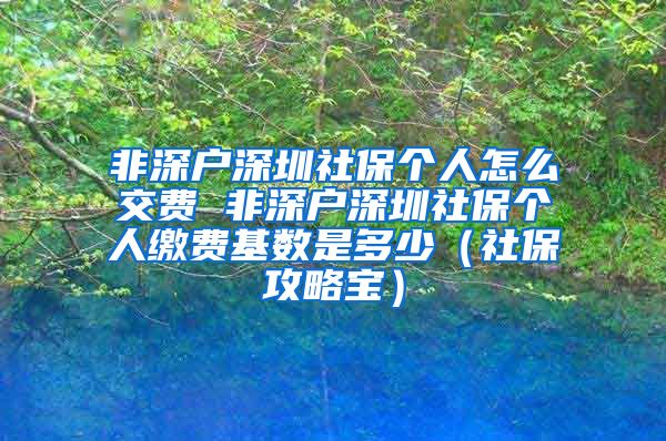 非深户深圳社保个人怎么交费 非深户深圳社保个人缴费基数是多少（社保攻略宝）