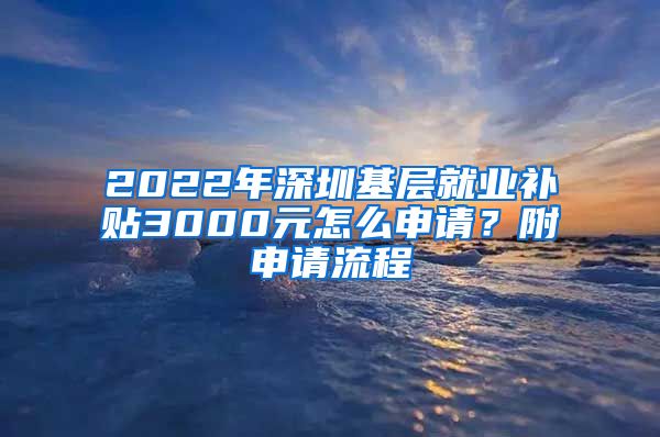 2022年深圳基层就业补贴3000元怎么申请？附申请流程