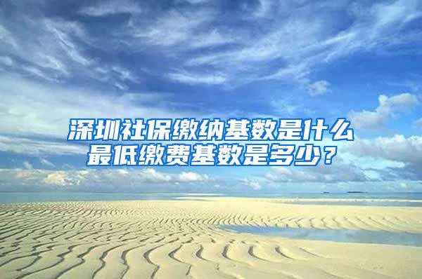 深圳社保缴纳基数是什么最低缴费基数是多少？