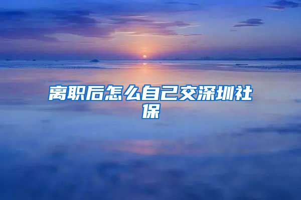 离职后怎么自己交深圳社保