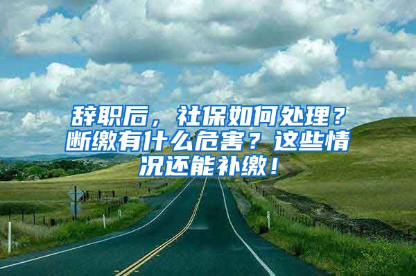 辞职后，社保如何处理？断缴有什么危害？这些情况还能补缴！