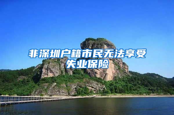 非深圳户籍市民无法享受失业保险