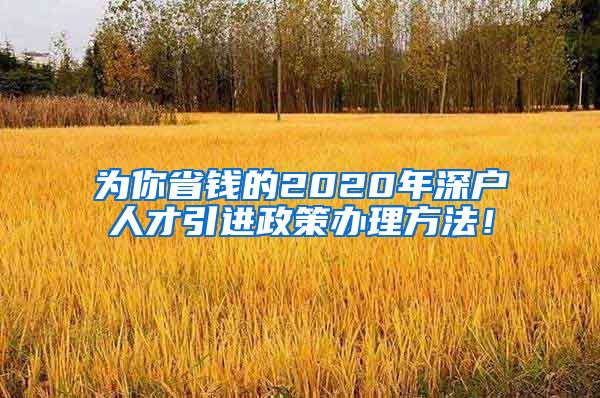 为你省钱的2020年深户人才引进政策办理方法！