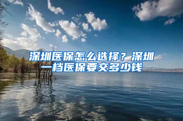 深圳医保怎么选择？深圳一档医保要交多少钱