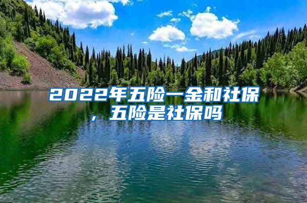 2022年五险一金和社保，五险是社保吗