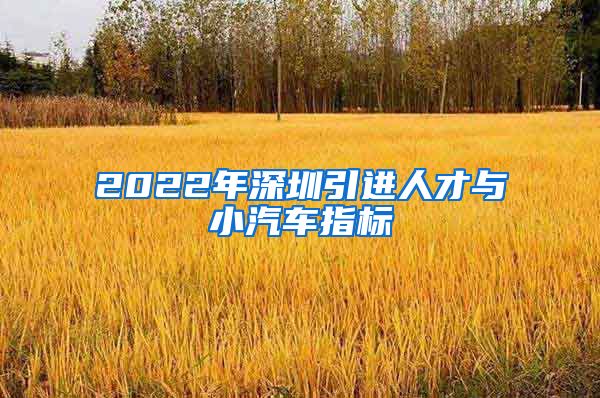 2022年深圳引进人才与小汽车指标