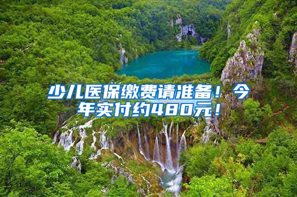 少儿医保缴费请准备！今年实付约480元！