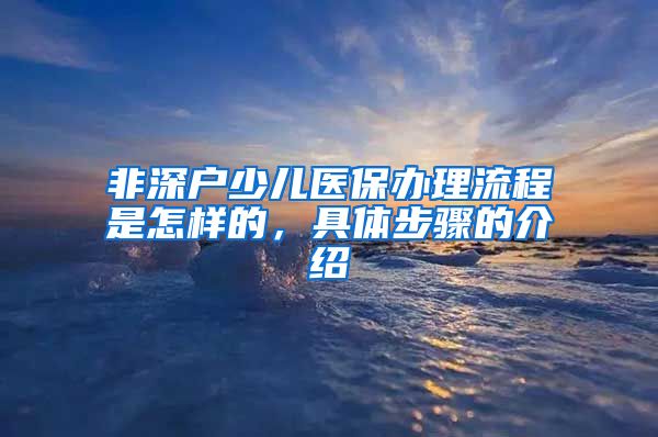 非深户少儿医保办理流程是怎样的，具体步骤的介绍