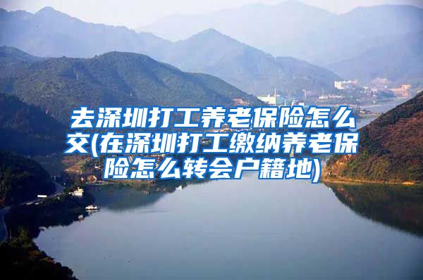 去深圳打工养老保险怎么交(在深圳打工缴纳养老保险怎么转会户籍地)