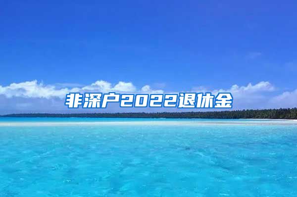 非深户2022退休金