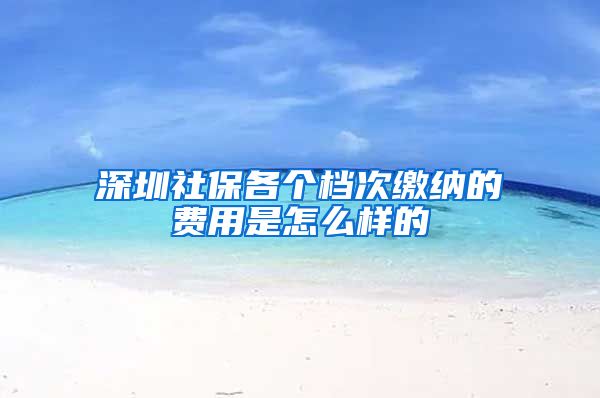 深圳社保各个档次缴纳的费用是怎么样的