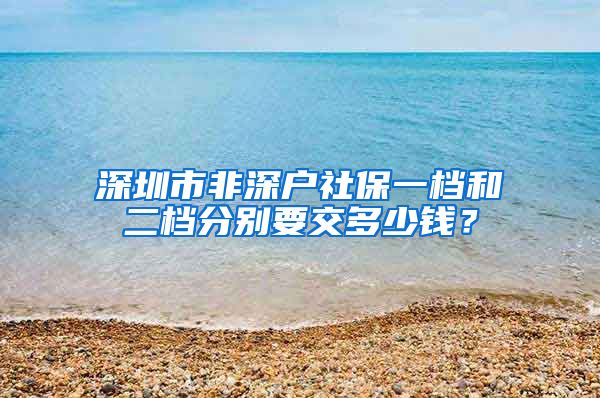 深圳市非深户社保一档和二档分别要交多少钱？