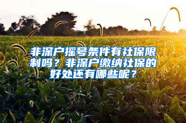 非深户摇号条件有社保限制吗？非深户缴纳社保的好处还有哪些呢？