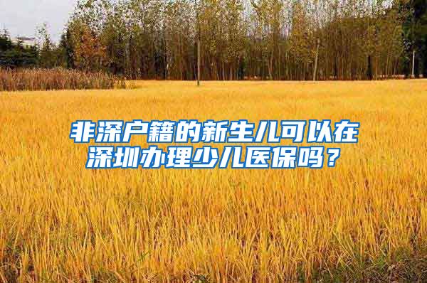 非深户籍的新生儿可以在深圳办理少儿医保吗？