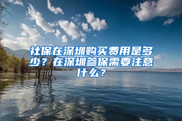 社保在深圳购买费用是多少？在深圳参保需要注意什么？