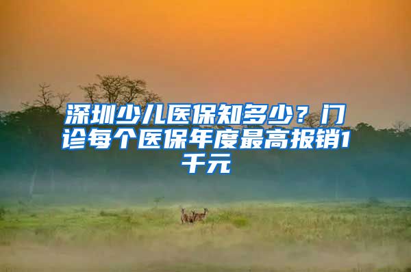 深圳少儿医保知多少？门诊每个医保年度最高报销1千元