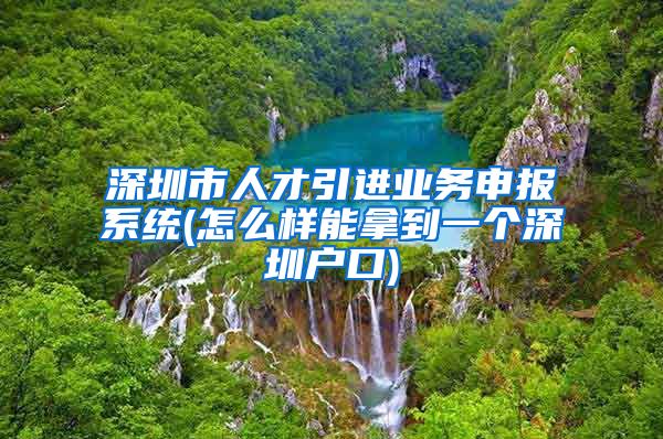 深圳市人才引进业务申报系统(怎么样能拿到一个深圳户口)